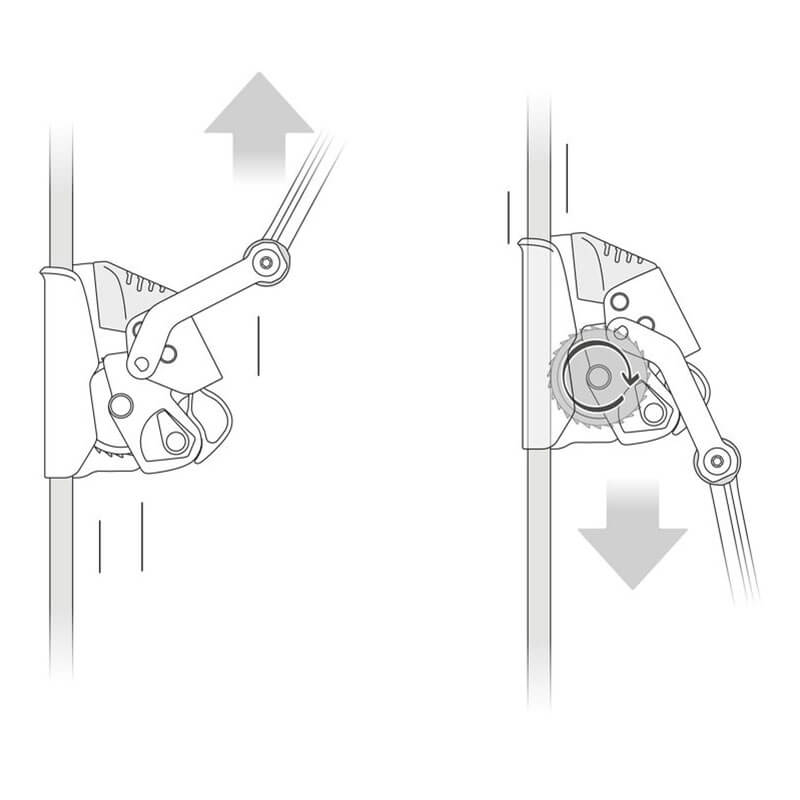 Line drawing of Petzl ASAP LOCK B071BB00 by Petzl on rope: handle up allows ascent; handle down, toothed cam enables descent. Arrows and fall protection details emphasize rope safety.