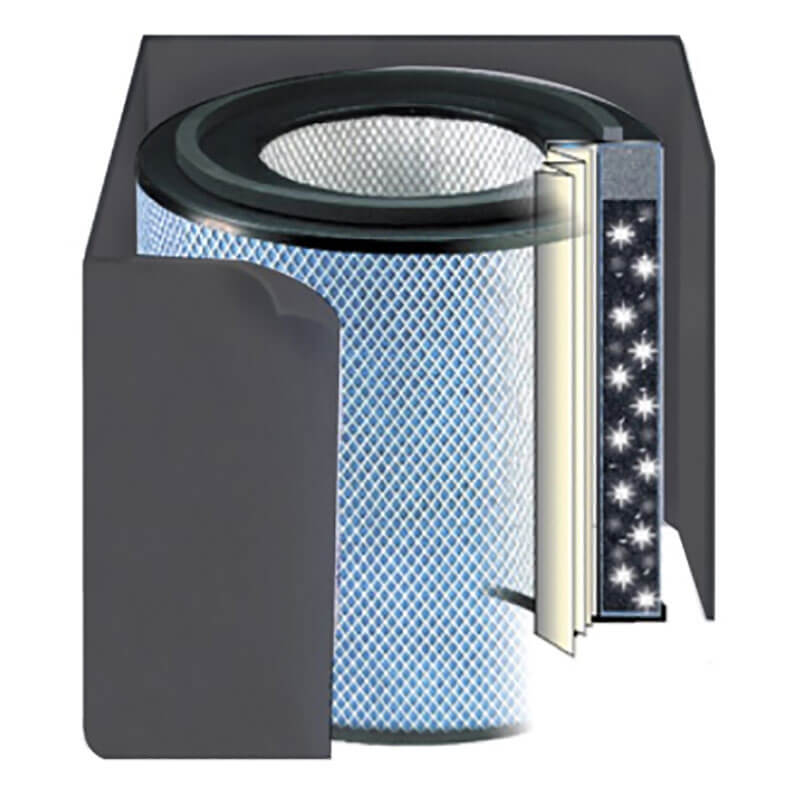 A diagram of the Austin Air Systems HealthMate Plus Junior Filter FR250 shows its cylindrical medical-grade HEPA filter with a mesh surface, an activated carbon layer, and inner circular elements in a sectional view.