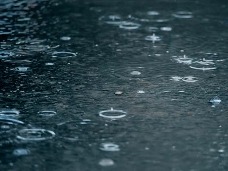 Raindrops falling on the ground.