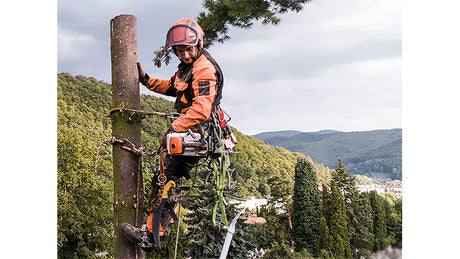 Worker secures tools while working at height on a tree.