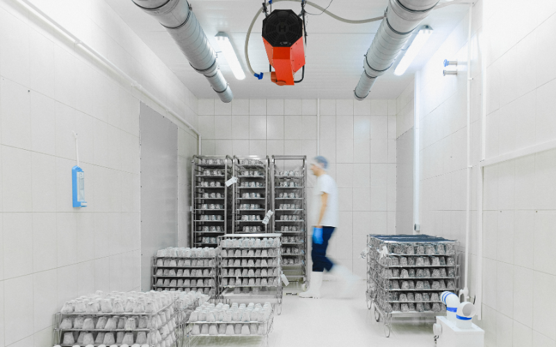 A worker walks through a cold storage room.