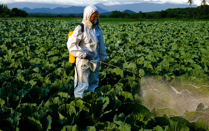 Worker spraying insecticide over plants.