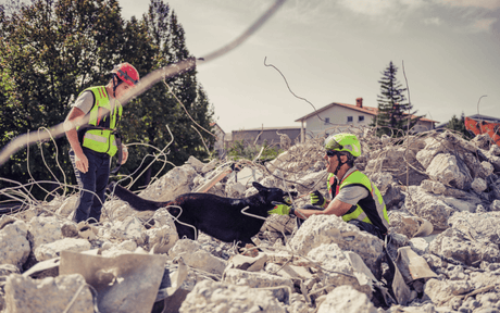 Rescuers dressed in helmets and hi-vis vests search through ruins of a building with help of a rescue dog. 