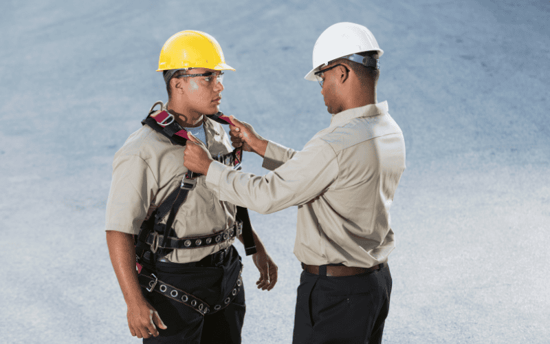 One worker wearing a harness and another holding the straps and inspecting it.
