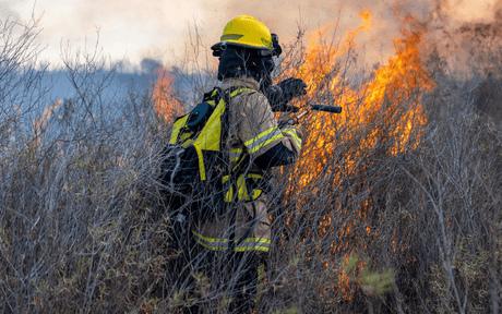 Firefighter in brush trying to put out a wildfire.