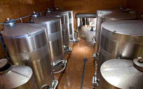 Downward view of multiple wine vats.