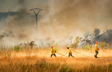 New Wildfire Emergency Regulations Issued by the CAL/OSHA