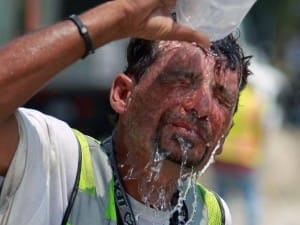 A Survival Guide Guaranteed to Prevent Heat Stress