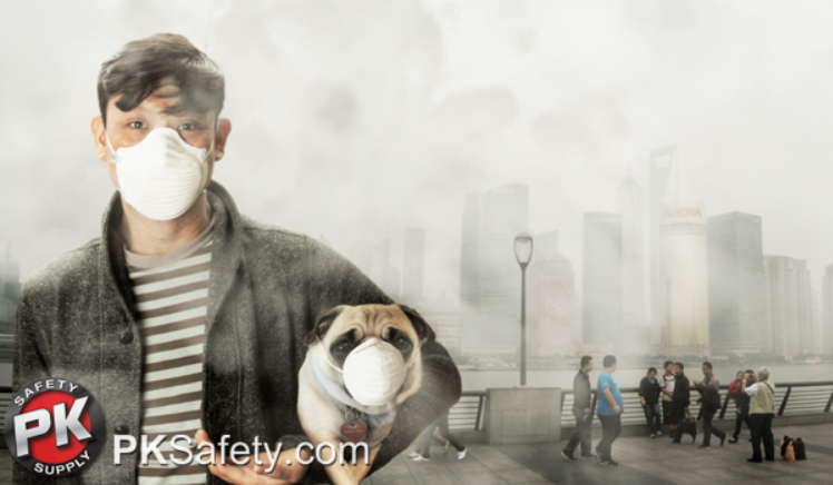Man holding dog and both wear respirators. Smokey city skyline behind them in the background.