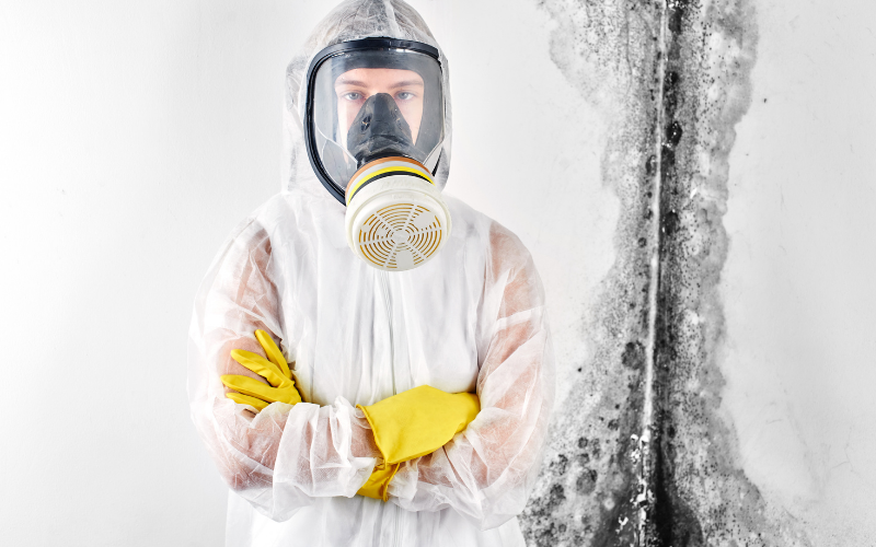 How to Safely Remove Mold