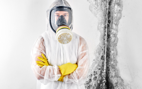 How to Safely Remove Mold