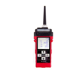 Image of RKI's GX-2012 multi-gas monitor on white background.