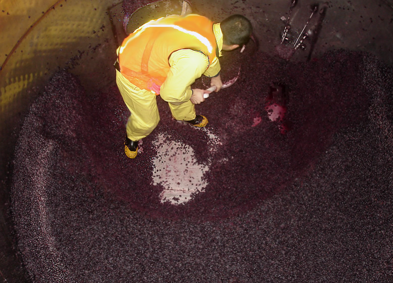 Confined Spaces in the Wine Industry: What You Need to Know