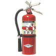 An Amerex 5 lb ABC fire extinguisher with a black hose and nozzle provides labeled instructions for proper use. It contains mono ammonium phosphate, features a silver safety pin at the top, and stands upright against a white background, highlighting vehicle fire safety.